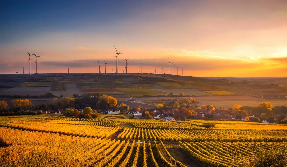 L'Allemagne Bat un Record Énergétique: 85% de Son Électricité Issue des Énergies Renouvelables