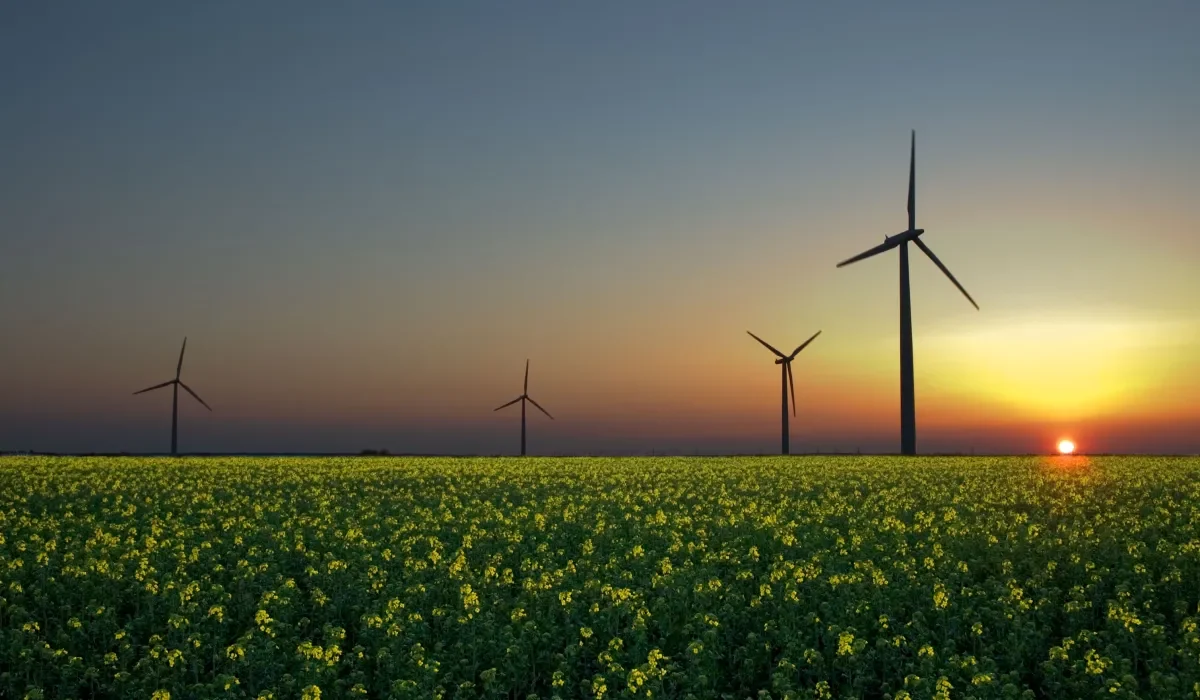 Le Rapport du Département de l'Énergie Préconise un Renforcement de l'Énergie Charbonnière.
