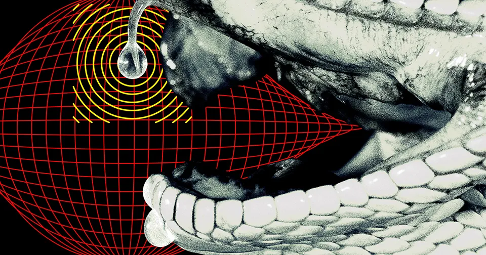 Le Tchad : Des centaines de serpents venimeux pour concevoir un antivenin universel