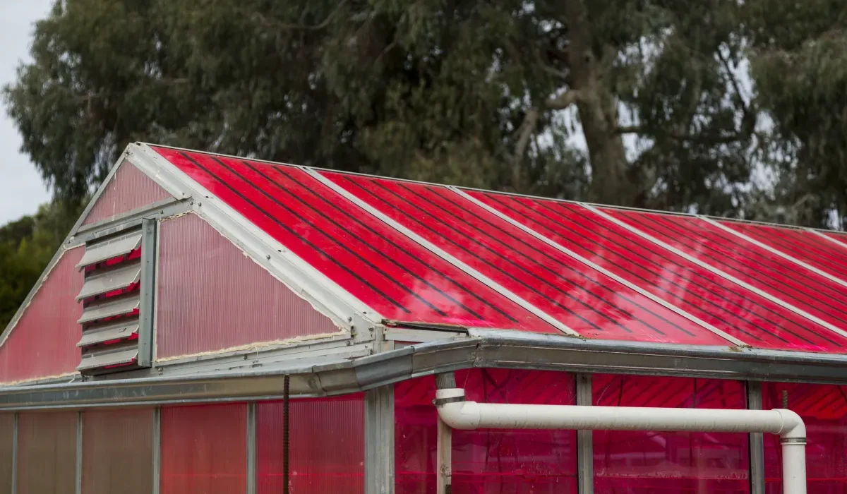 « Les Maisons Solaires de Demain : Énergie et Alimentation au Cœur de l'Habitat »