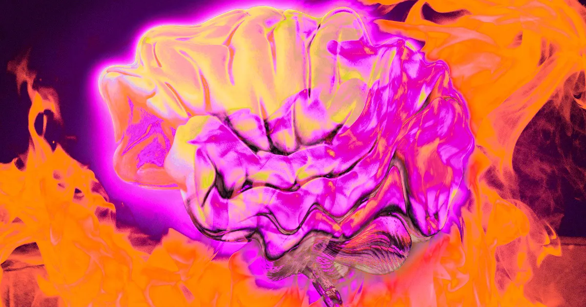 Les Neurones Humains Coincés entre des Phases de Matière Évolutives, Selon les Chercheurs.