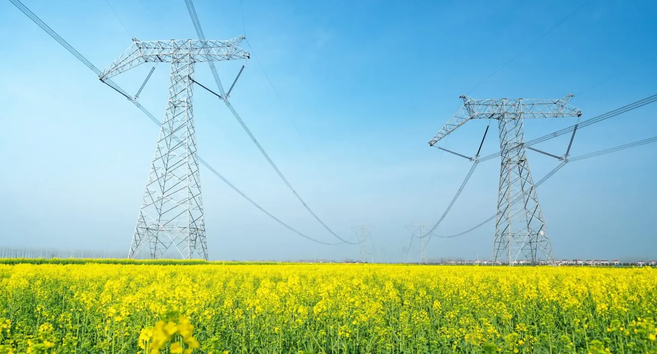 Les agriculteurs découvrent des avantages insoupçonnés des panneaux solaires sur les terres agricoles : 'Une complémentarité possible'