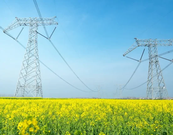 Les agriculteurs découvrent des avantages insoupçonnés des panneaux solaires sur les terres agricoles : 'Une complémentarité possible'