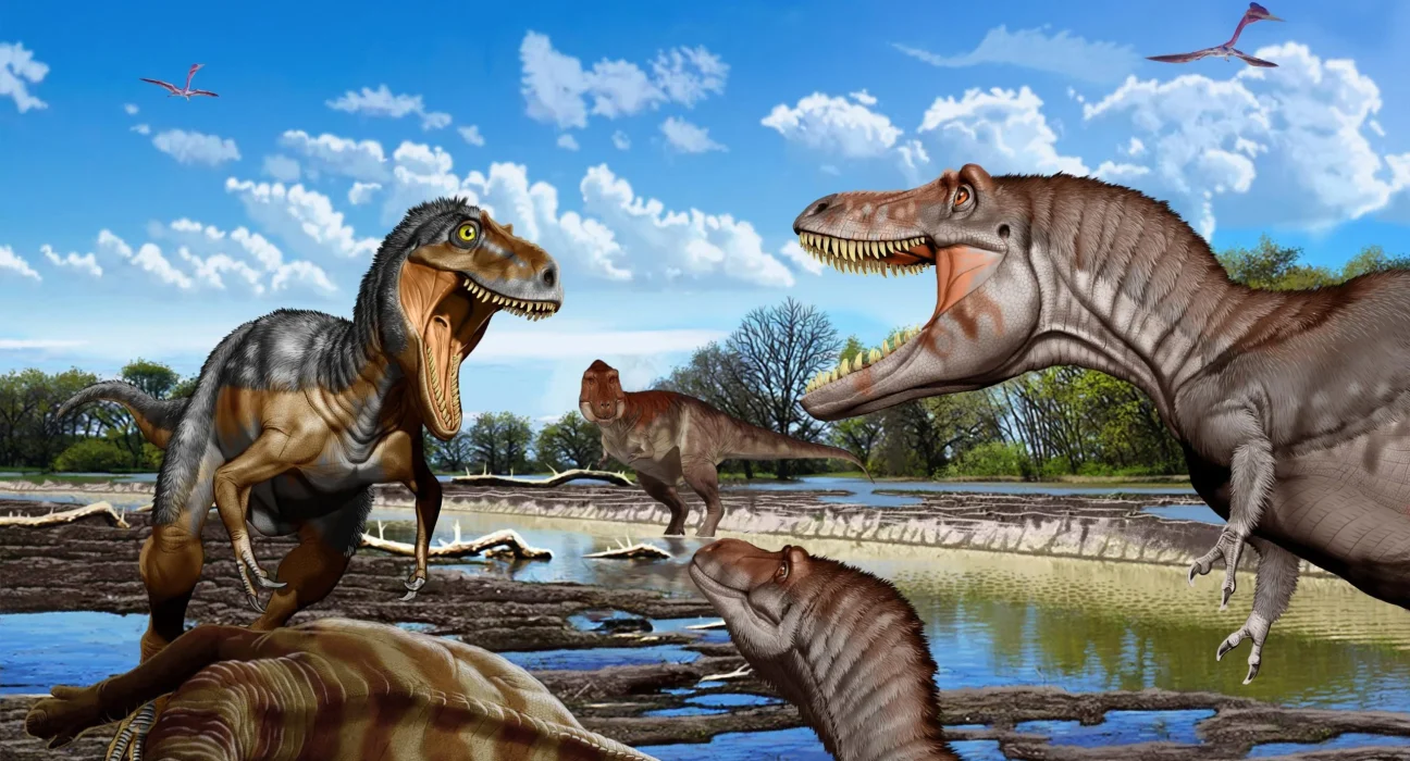 Les chercheurs établissent que le Nanotyrannus était un adulte et non un jeune T. rex.