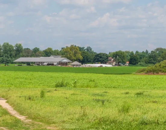 Les législateurs lancent une initiative novatrice qui pourrait transformer l'agriculture : 'Façonner l'avenir'.