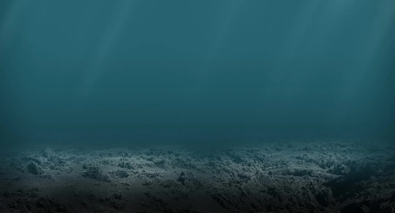 Nouvelle étude met en lumière une menace invisible dans nos océans : des mesures d'urgence indispensables.