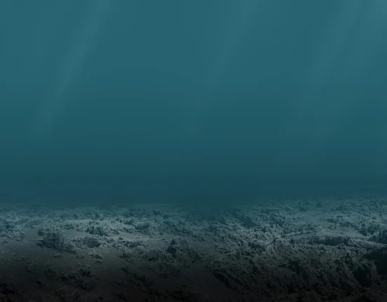 Nouvelle étude met en lumière une menace invisible dans nos océans : des mesures d'urgence indispensables.