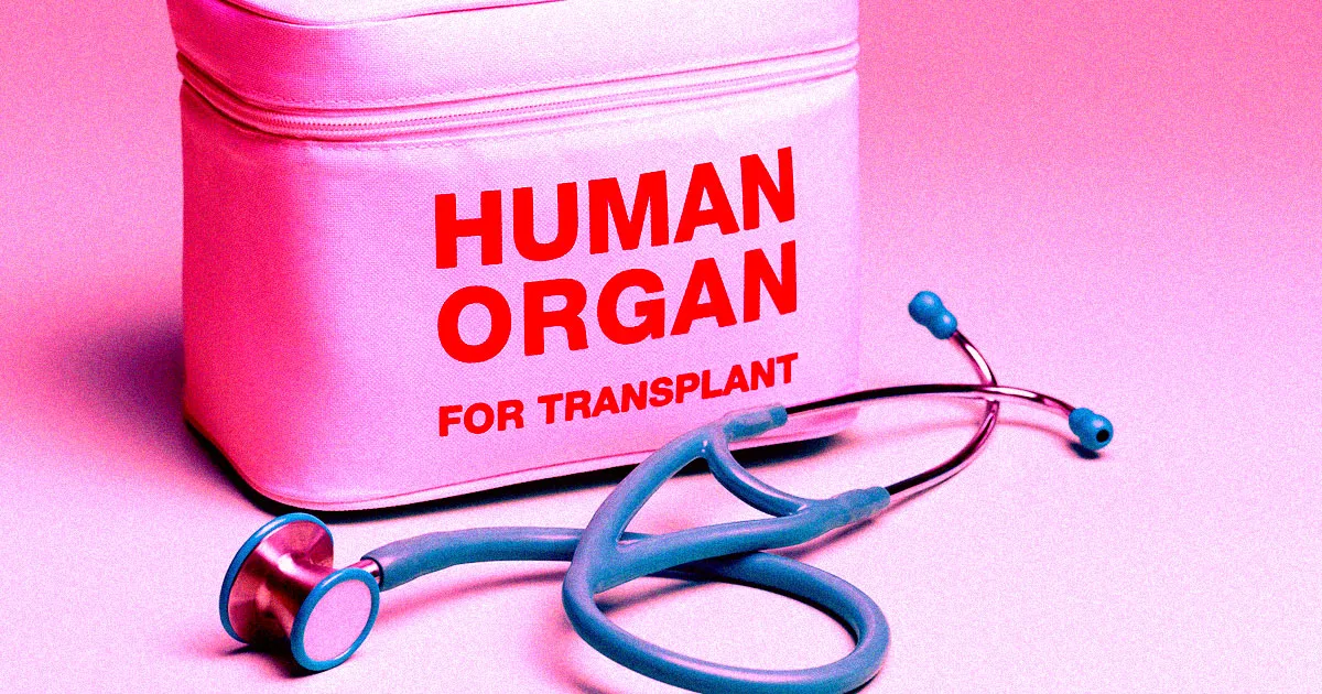 Rétablissement de la Circulation Sanguine dans des Corps Légalement Décédés pour la Récupération d'Organes Donateurs.