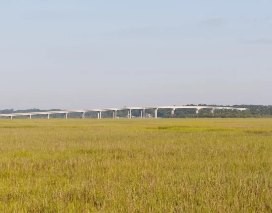 Révolution agricole : Un projet innovant dévoilé par l'université