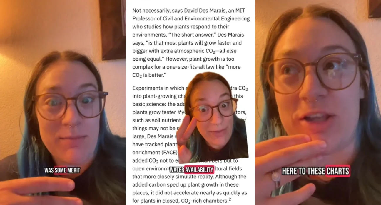 Un expert analyse une vidéo trompeuse : 'Une loi unique ne peut pas tout résoudre'