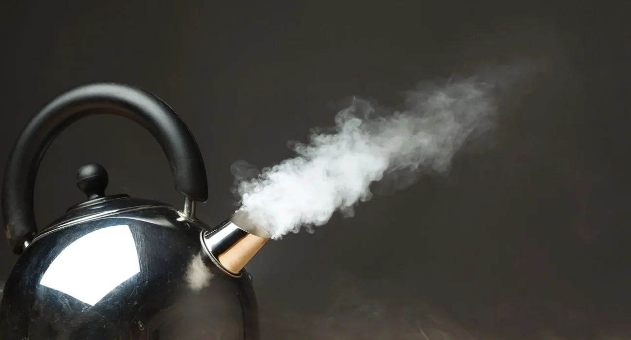 Un expert en électroménager ébloui par les gadgets tendance qui révolutionnent les cuisines américaines : 'C'était plus impressionnant que je ne l'avais imaginé'