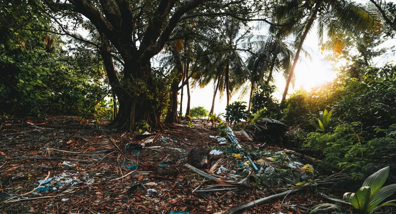 Un rapport alarmant prédit une croissance exponentielle menaçante pour l'avenir de la Terre