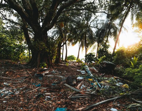 Un rapport alarmant prédit une croissance exponentielle menaçante pour l'avenir de la Terre