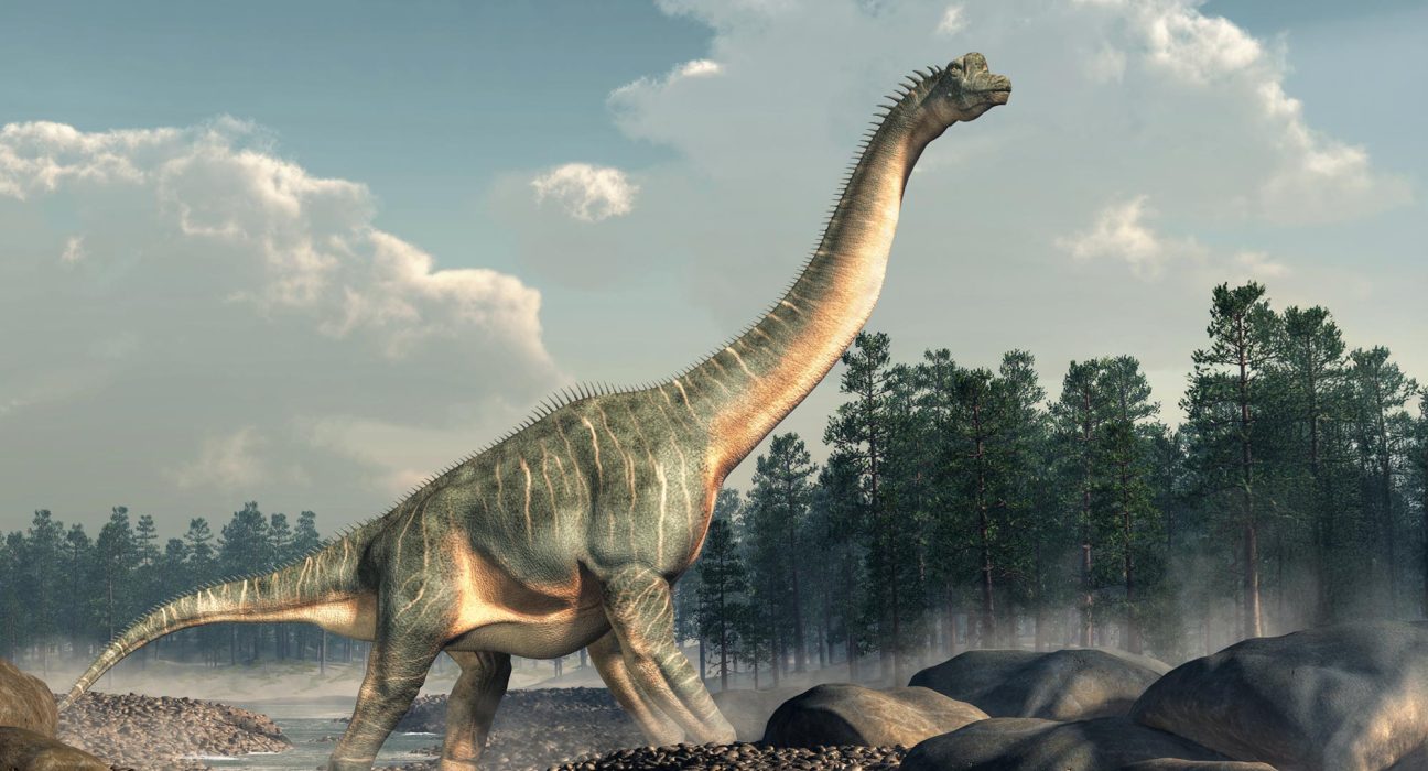 Une Découverte Étonnante : Comment une Différence Cachée entre Dinosaures et Mammifères Transforme Notre Vision du Passé.