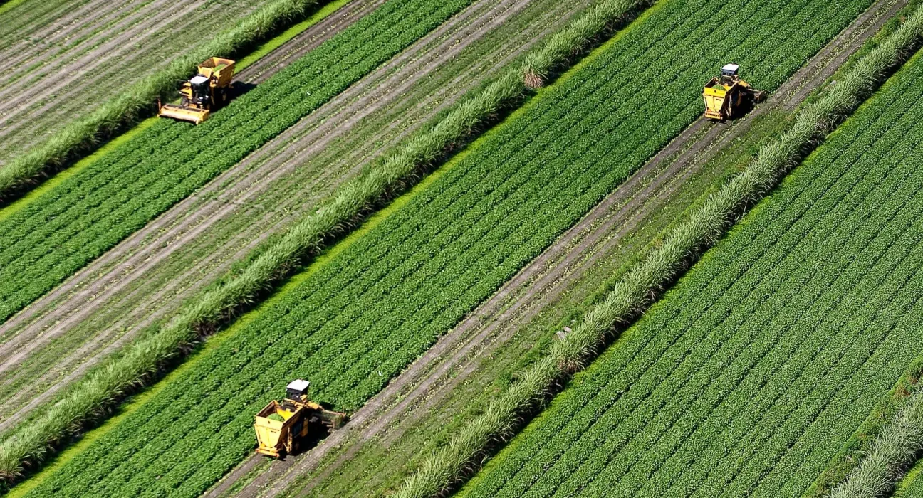 Une Révolution Technologique : Une IA Prometteuse pour Transformer l'Agriculture