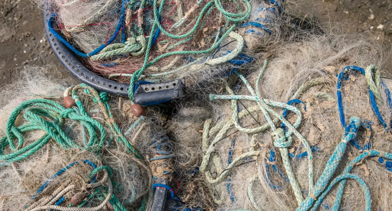 Une Révolution dans le Recyclage : La Digitalisation au Service des Déchets Communes