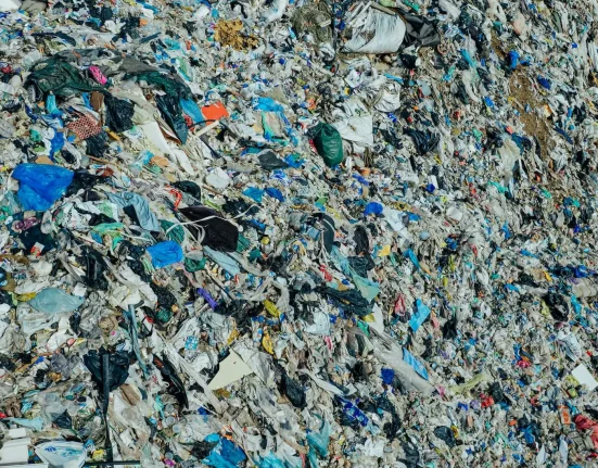Une avancée scientifique majeure qui pourrait transformer le traitement des déchets : 'Prometteur'