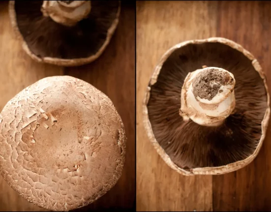 Une batterie lithium-ion réalisée à partir de champignons portabello.
