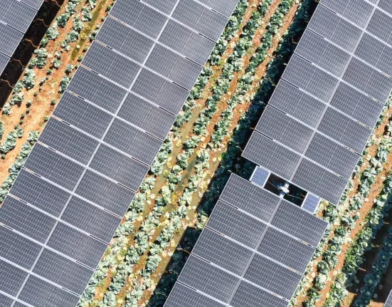 Une innovation révolutionnaire : une entreprise associe panneaux solaires et agriculture – découvrez son fonctionnement.