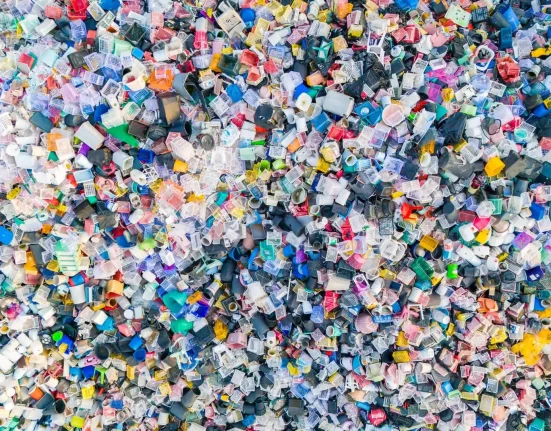 Une startup révolutionne la gestion des déchets avec une solution inattendue