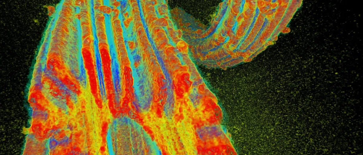 Uranium de l'Eau de Mer : Une Source Énergétique Durable pour 13 000 Ans