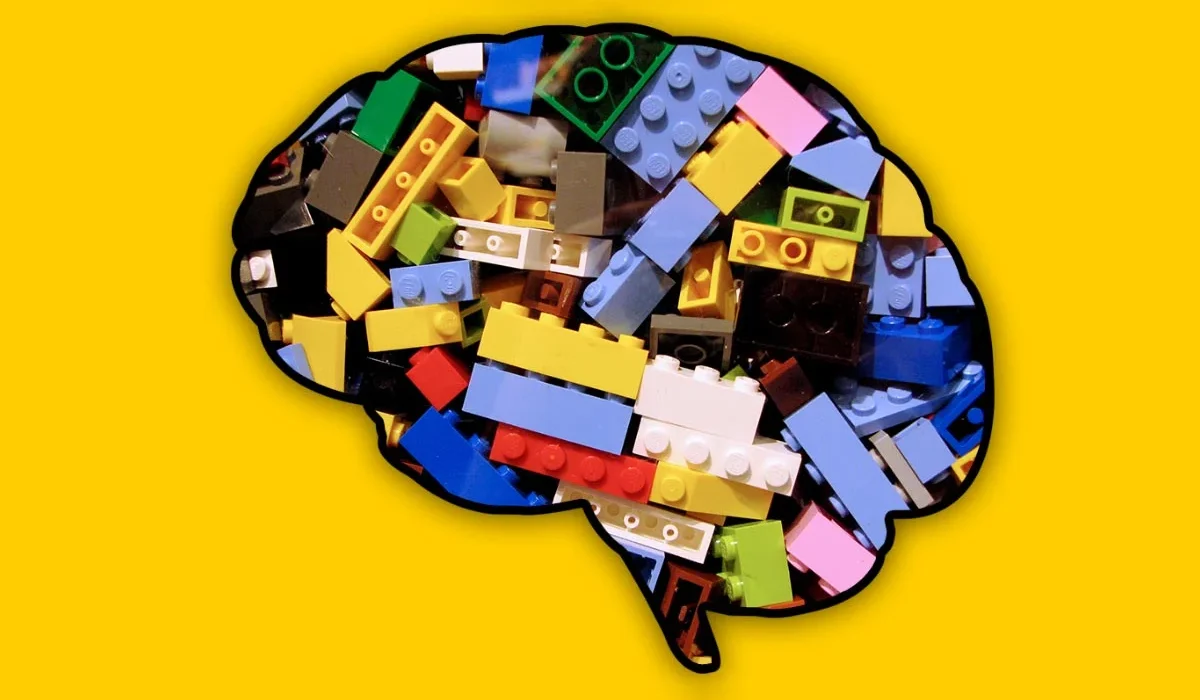 Votre Cerveau Possède un Raccourci d'Apprentissage Que l'IA Ne Peut Pas Imitiser.
