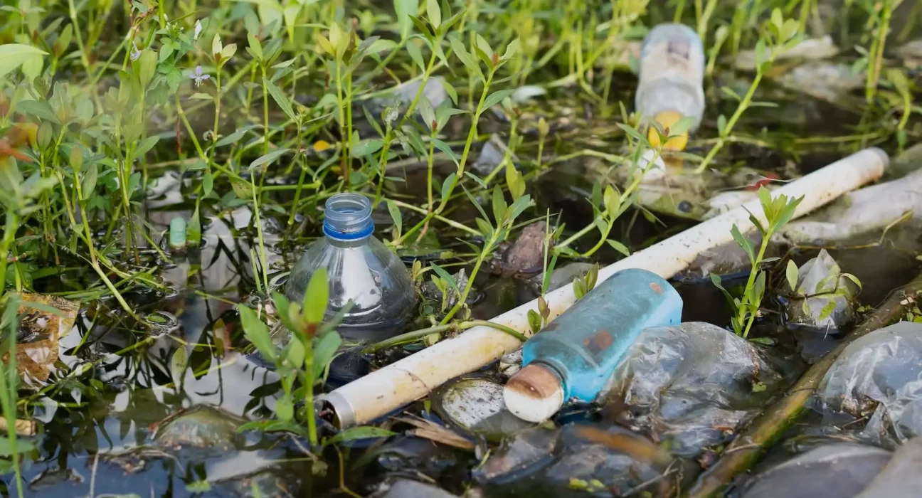 Alerte scientifique : Un risque 'invisible' dans les bouteilles en plastique requiert une action urgente de la société.