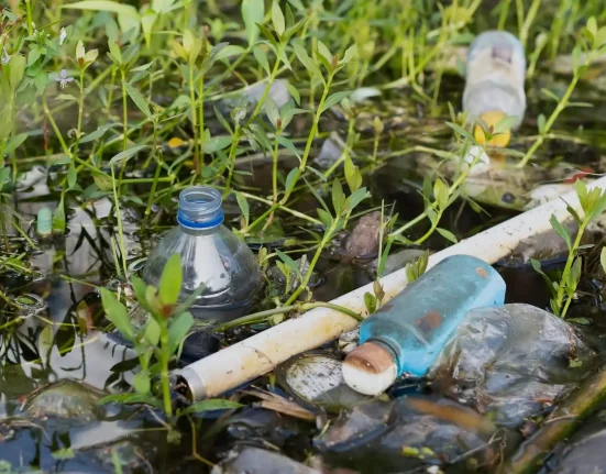 Alerte scientifique : Un risque 'invisible' dans les bouteilles en plastique requiert une action urgente de la société.