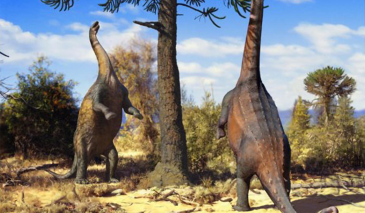 Ces dinosaures géants à long cou pouvaient se tenir debout : les scientifiques découvrent enfin pourquoi.