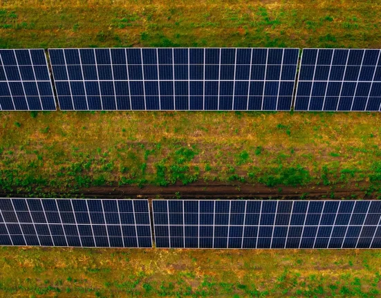 « Découverte révolutionnaire : l'association panneaux solaires et cultures dans les déserts ouvre de nouvelles perspectives »