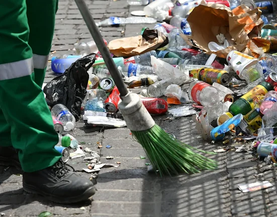 Découverte révolutionnaire offrant une solution prometteuse à un problème majeur de déchets