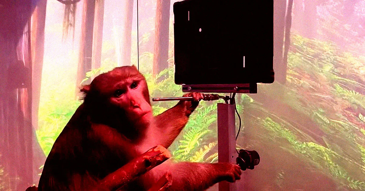 Des Incidents Inquiétants chez les Singes Après des Implants Neuralink, Selon les Dossiers Vétérinaires