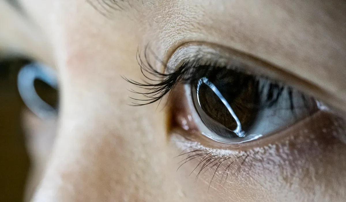 Des Patients avec des Yeux Bioniques Retrouvent la Cécité après l'Obsolescence Décidée par le Fabricant