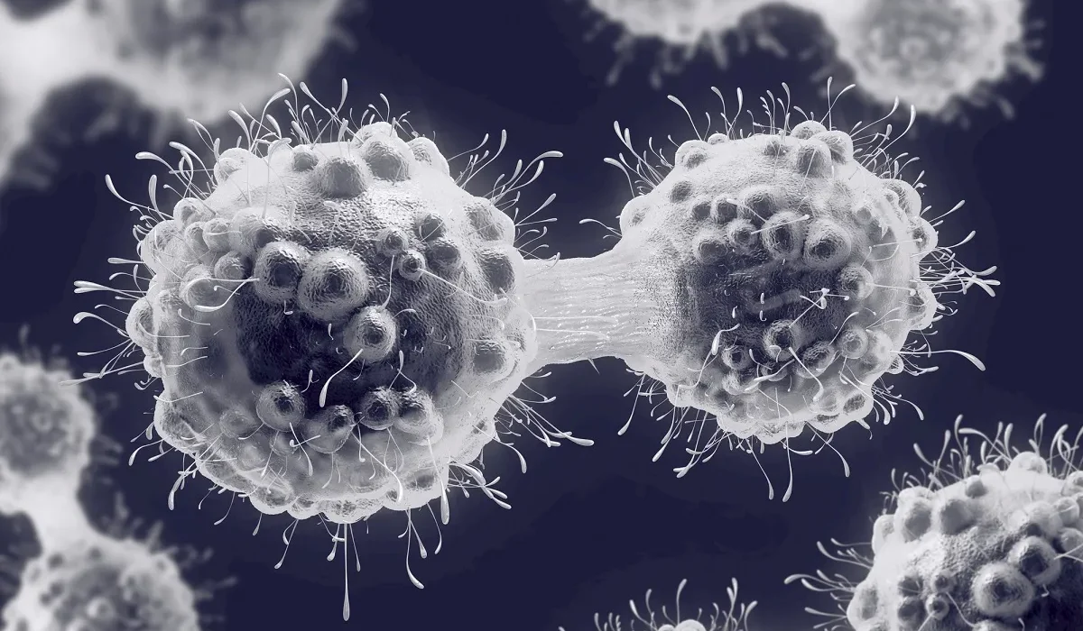 Des Scientifiques Fascinés par un Traitement Révolutionnaire Rendant Chaque Patient Cancéreux en Rémission