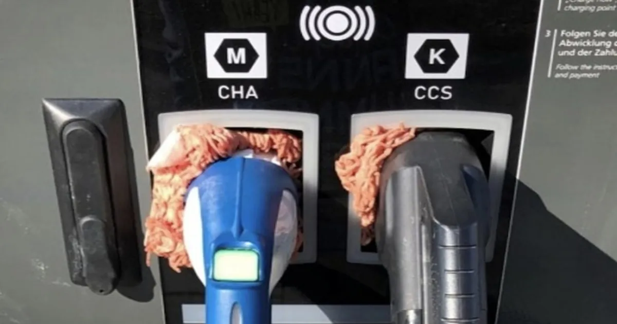 Des actes de vandalisme : de la viande dans les bornes de recharge pour véhicules électriques.