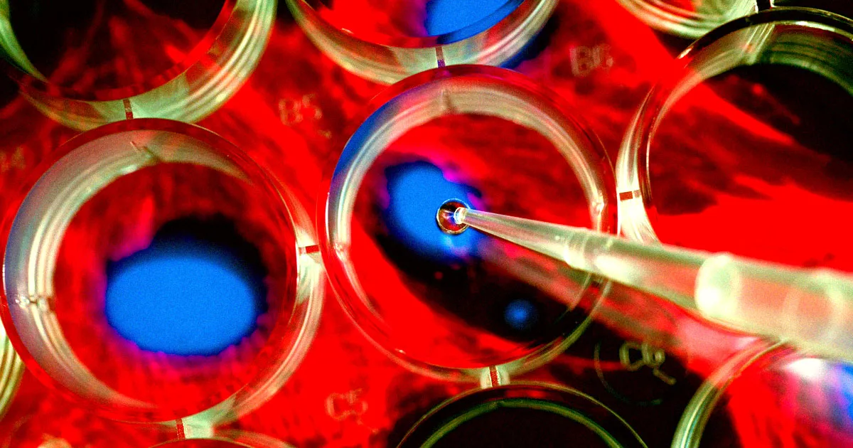 Des chercheurs conçoivent des embryons humains synthétiques sans spermatozoïdes ni ovules.