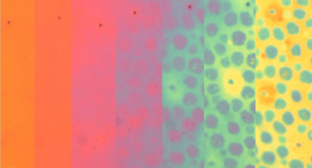 Des chercheurs de Stanford inventent un matériau innovant imitant la couleur et la texture des céphalopodes.
