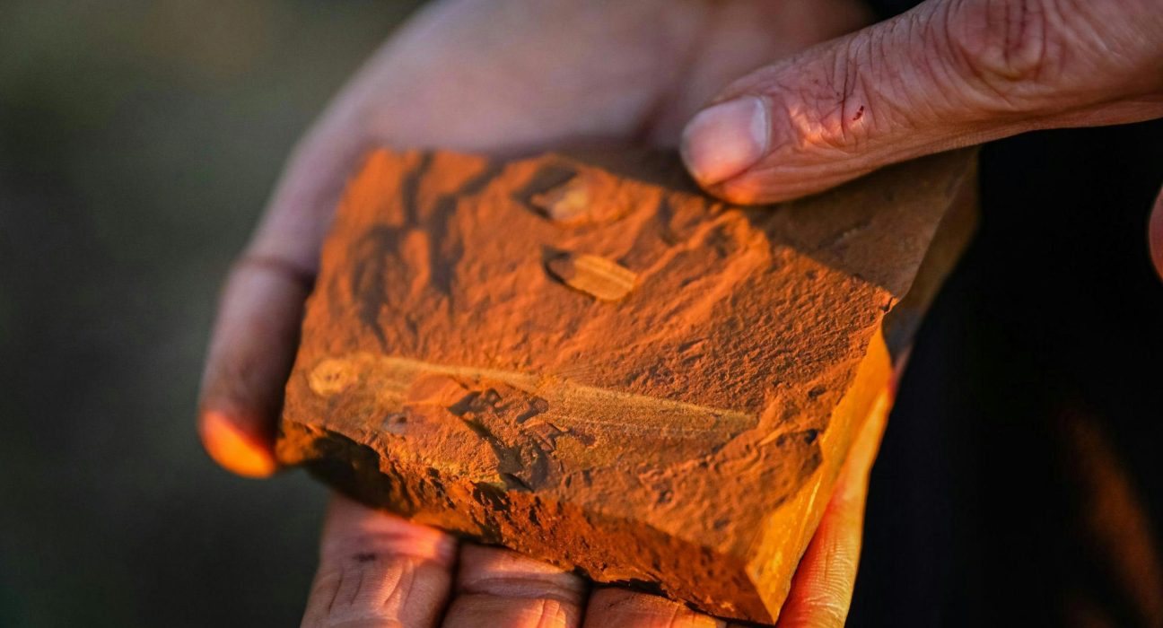 Des formations rocheuses rouges en Australie remettent en question nos idées sur les fossiles.