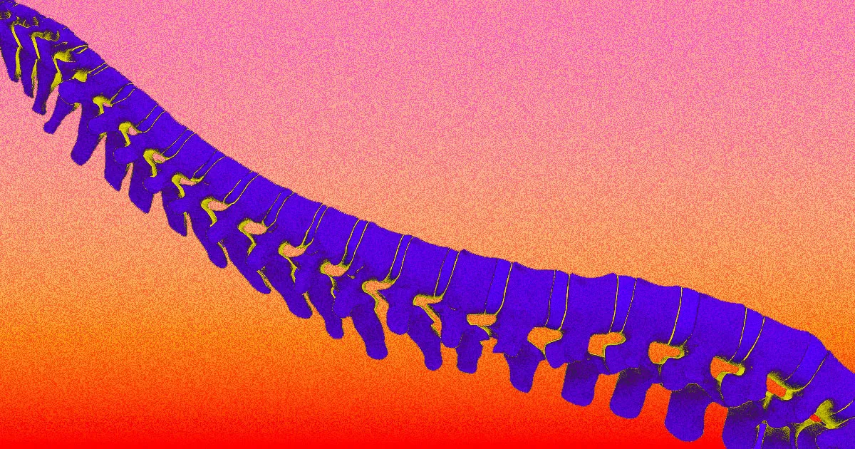 Des implants de moelle épinière redonnent espoir aux souris paralysées.