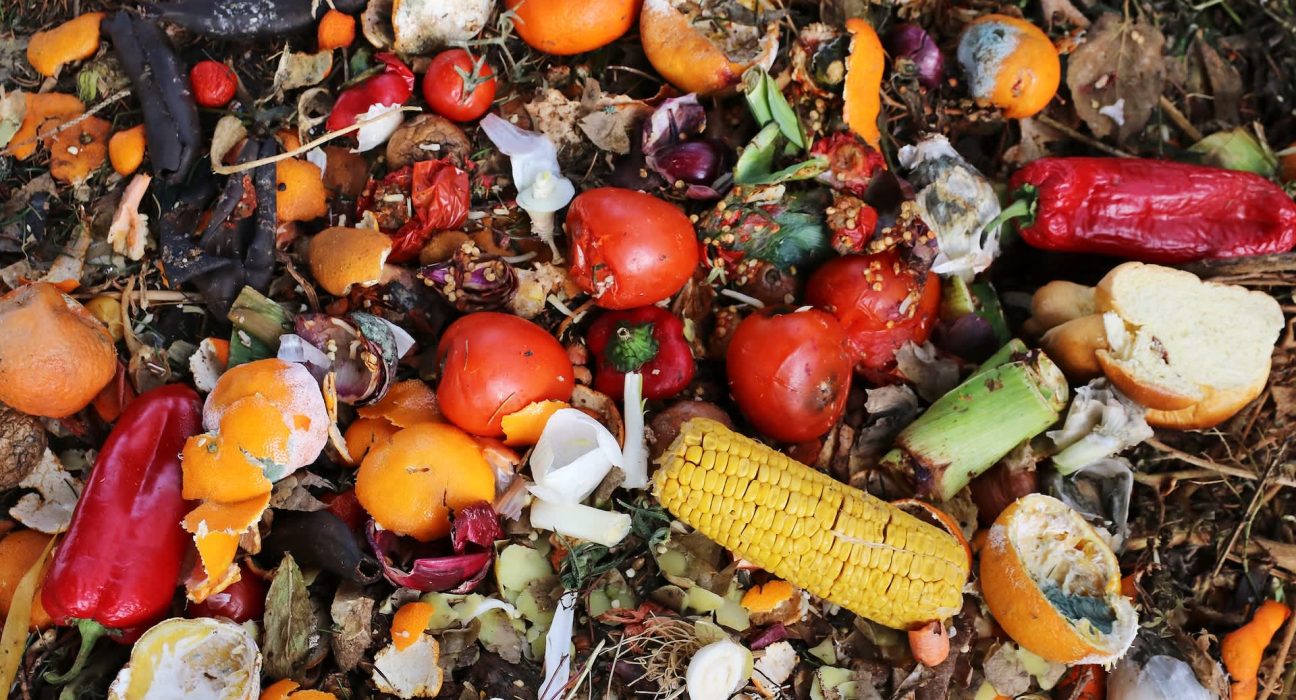 Des scientifiques dévoilent une avancée majeure pouvant révolutionner la gestion des déchets : 'Un nouveau standard industriel'