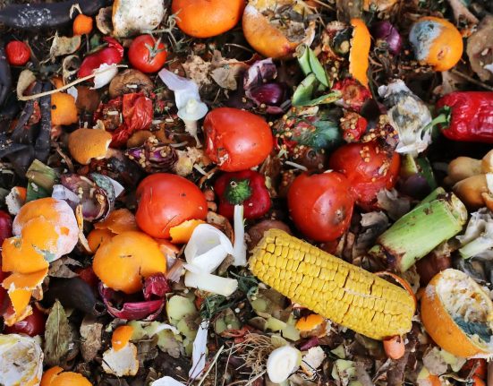 Des scientifiques dévoilent une avancée majeure pouvant révolutionner la gestion des déchets : 'Un nouveau standard industriel'