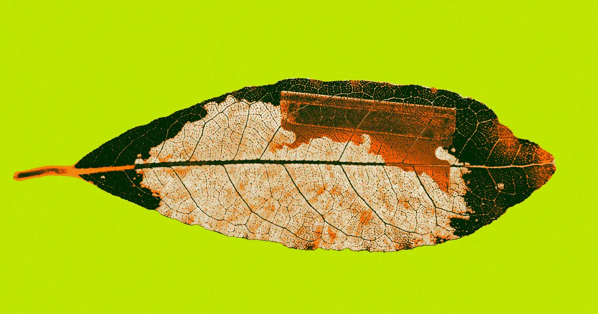 Des scientifiques manipulent des gènes pour faire pousser des plants de cocaïne.