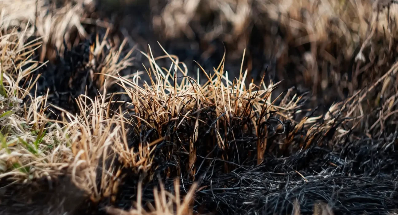 Des spécialistes tirent la sonnette d'alarme sur une menace silencieuse méconnue du grand public : 'C'est extrême sous tous les angles'