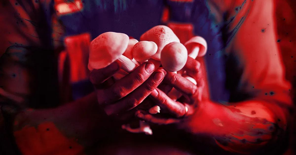 Facebook Ajoute un Bot à un Groupe de Cueilleurs de Champignons Poussant à Manger des Fongus Mortels