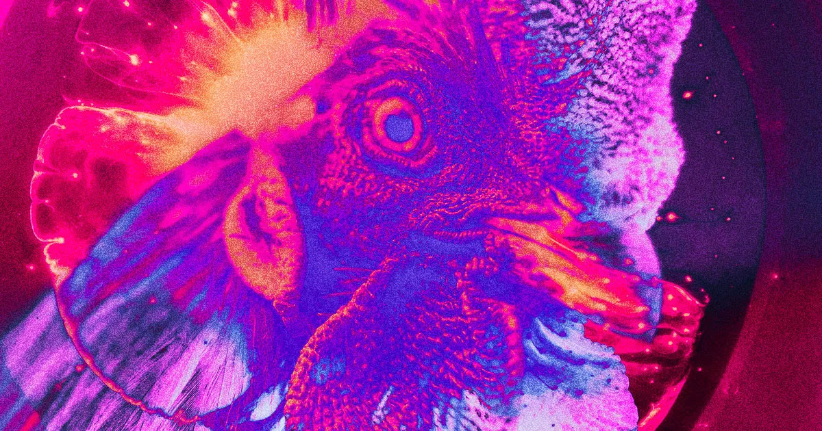 L'alerte de la FDA : Évitez de cuire du poulet dans du NyQuil !