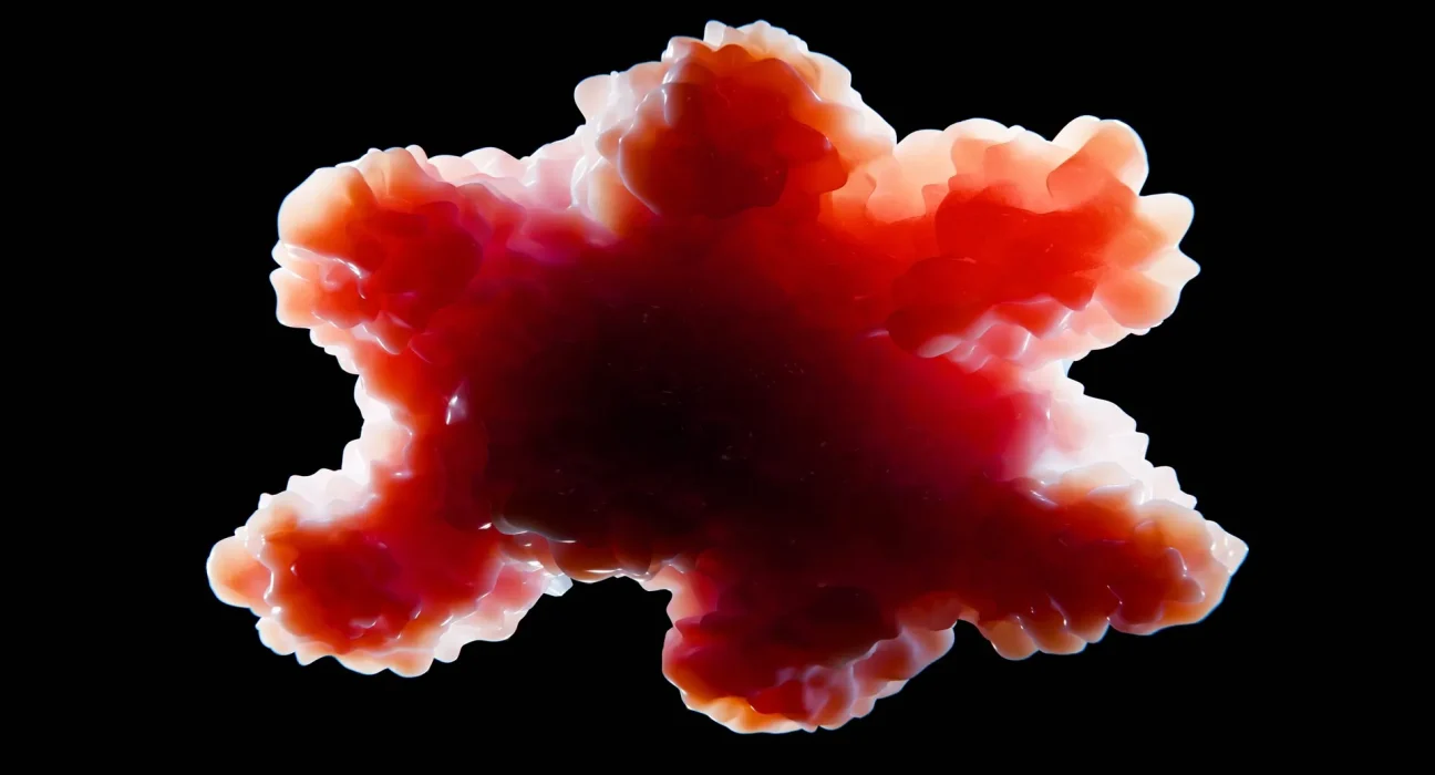 Le Gras Humain : Une Étonnante Fondamentale pour la Création d'Organoïdes