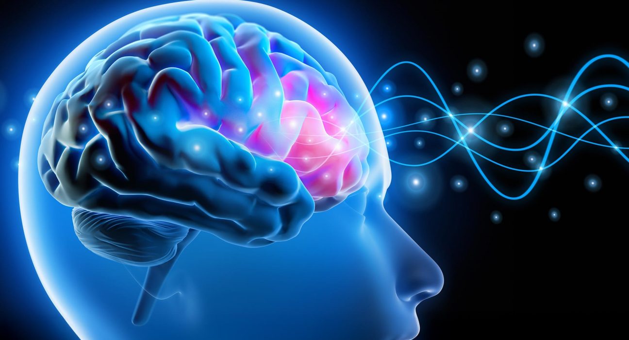 Le Rythme Cérébral qui Trace la Frontière entre Vous et le Monde