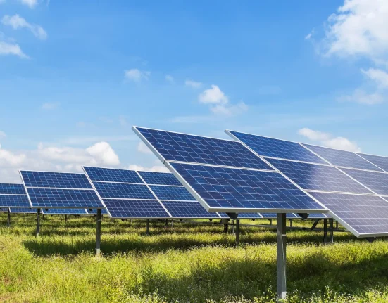 Les Agriculteurs Révèlent les Incroyables Avantages de l'Agriculture Associée à l'Énergie Solaire : 'Je Veux Simplement Pouvoir Rivaliser'