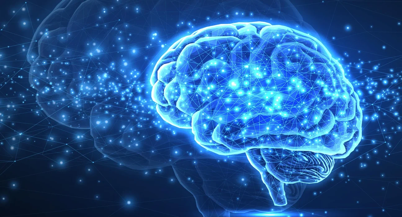 Les Étonnantes Similitudes entre le Cerveau Humain et l'Intelligence Artificielle