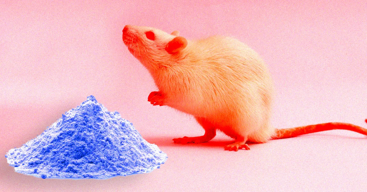 Les Scientifiques Dévoilent un Nouveau Méthode pour Réguler l'Intérêt des Souris pour la Cocaïne.